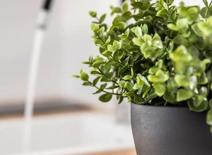 Magma Milos Ii Apartment